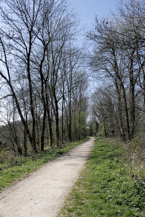 Tissington Trail